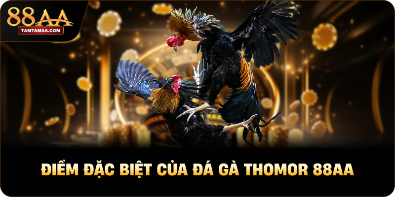 Điểm đặc biệt của đá gà thomor 88AA