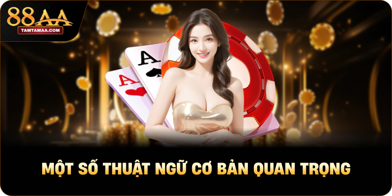 Một số thuật ngữ cơ bản cần biết
